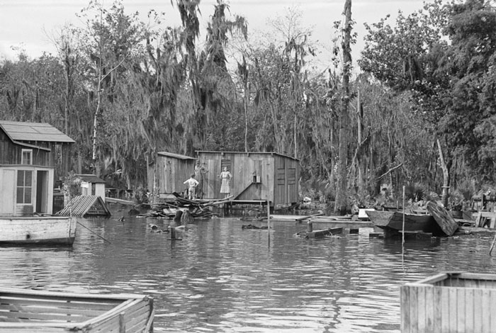 Lousiana Bayou