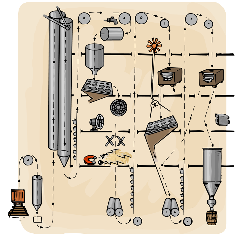 A cutaway section of a mill showing how the wheat goes up and down through the building as it is sorted, cleaned, and ground into flour.