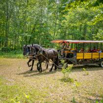 Forest History Center.